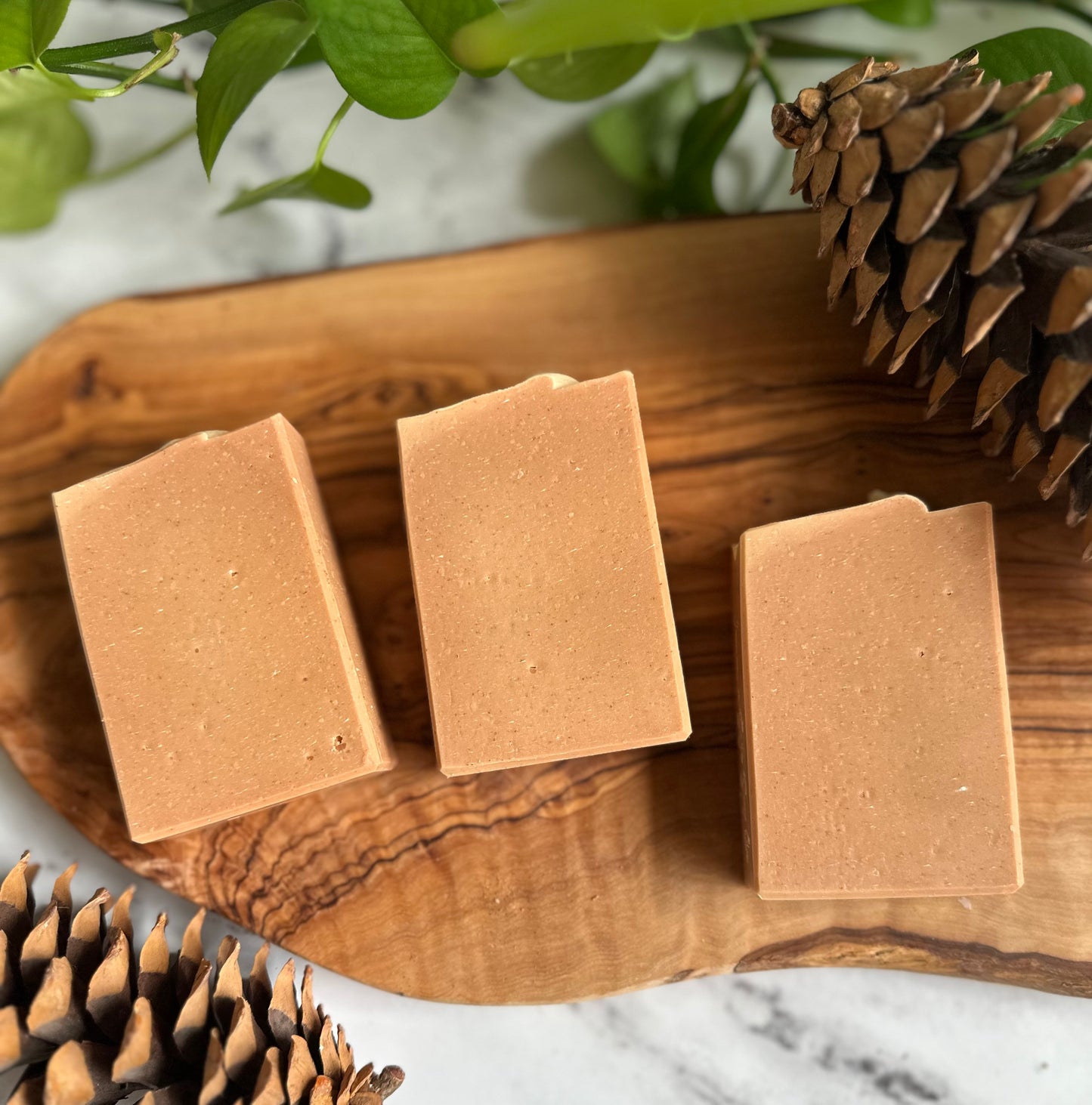 Cinnamon & Spice - Soap