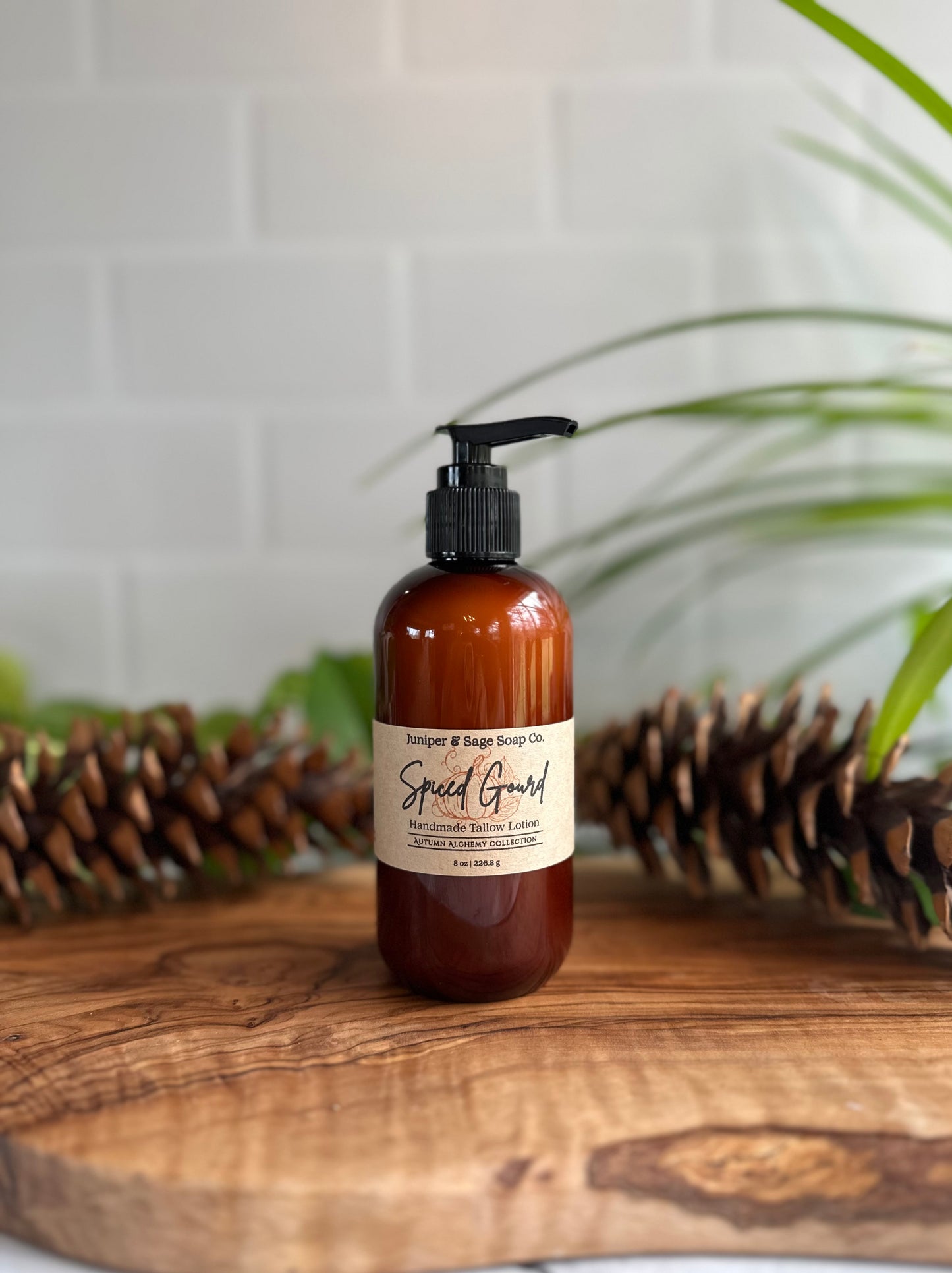 Spiced Gourd - Tallow Lotion