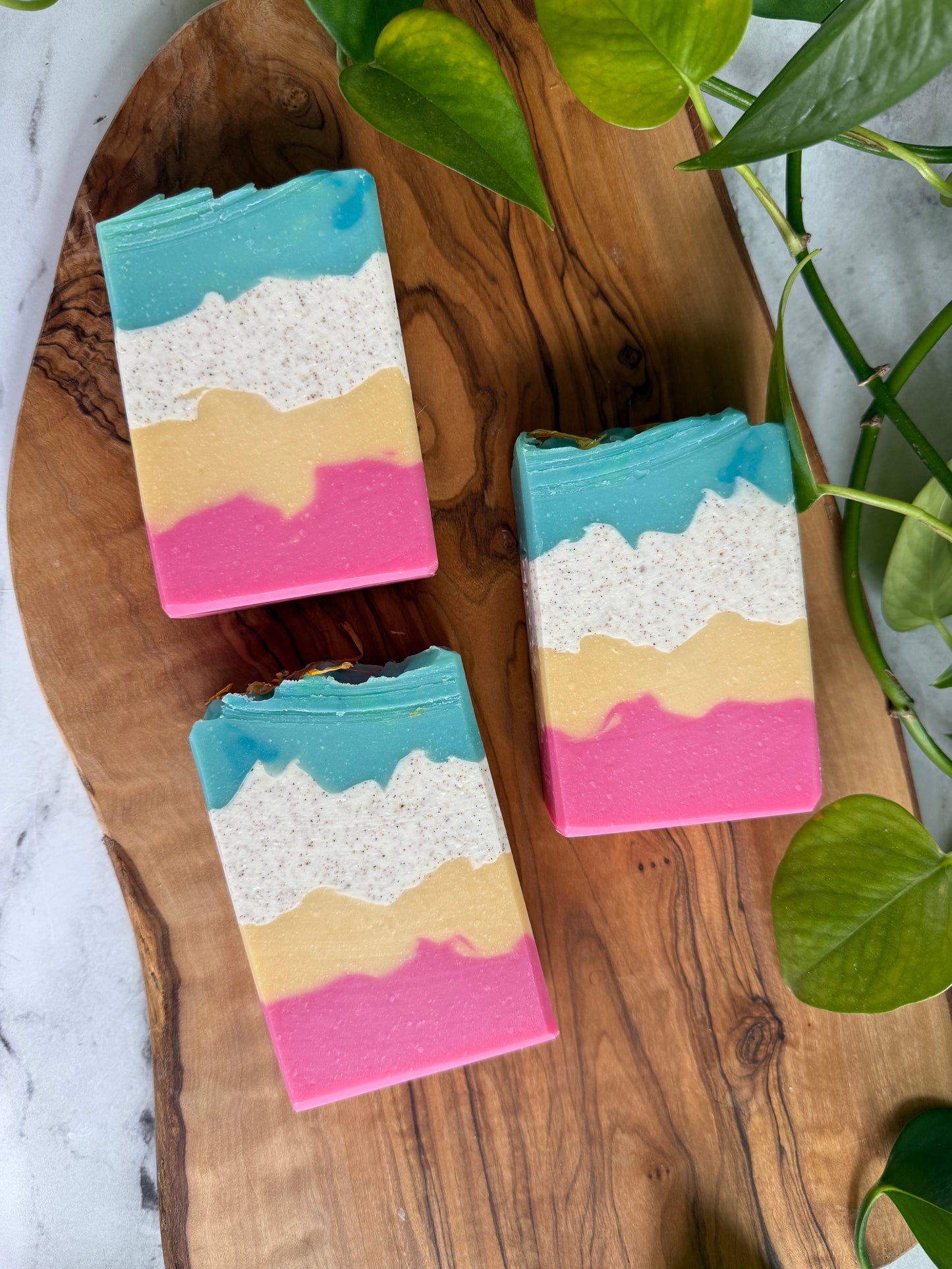 Sweet Nectar & Hibiscus - Tallow & Goat Milk Soap