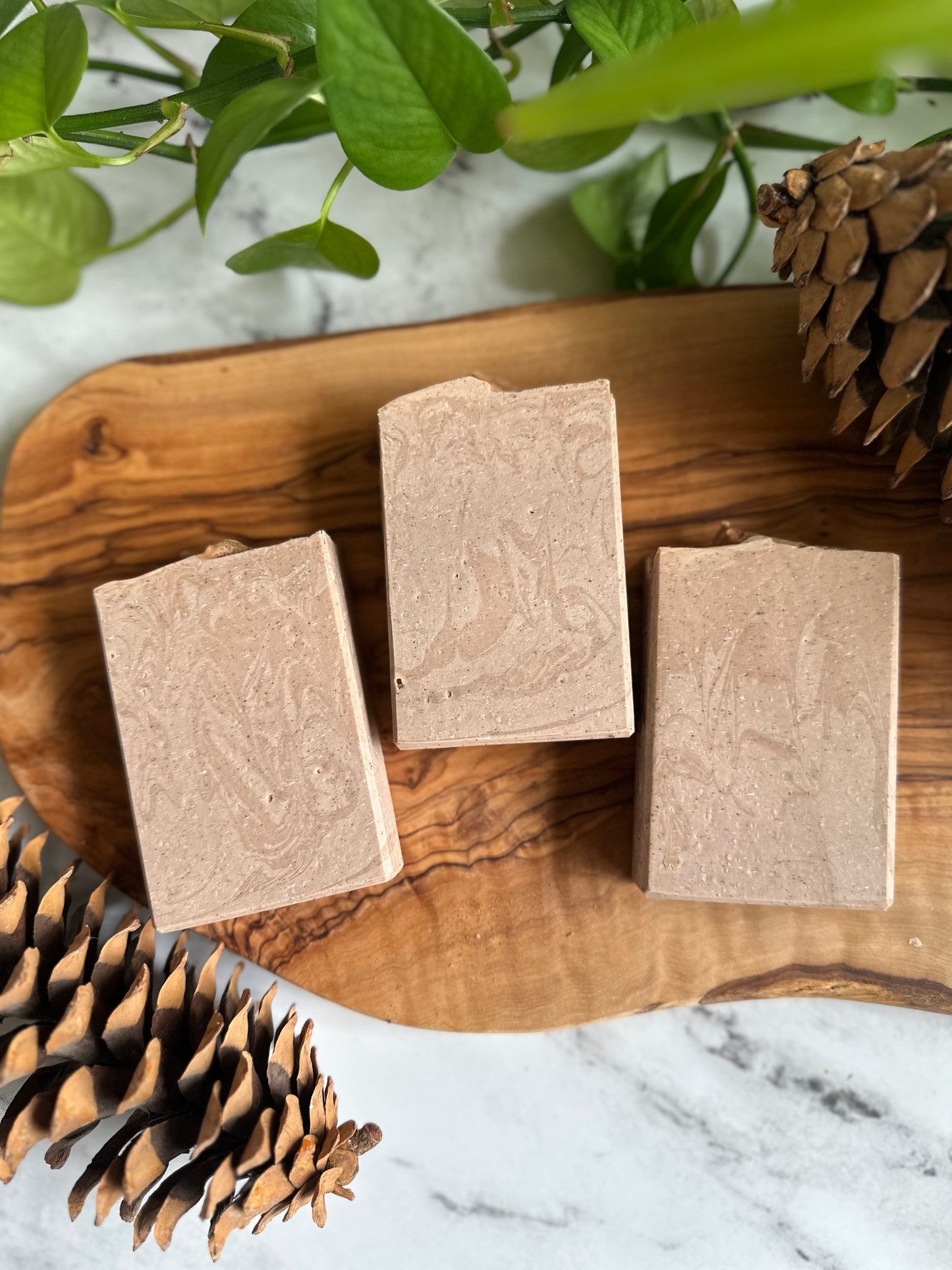 Spiced Gourd - Soap