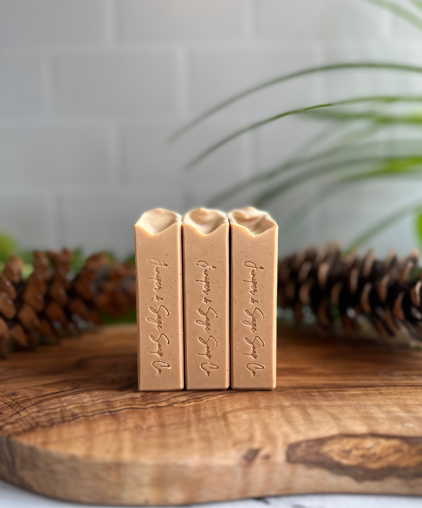 Cinnamon & Spice - Soap