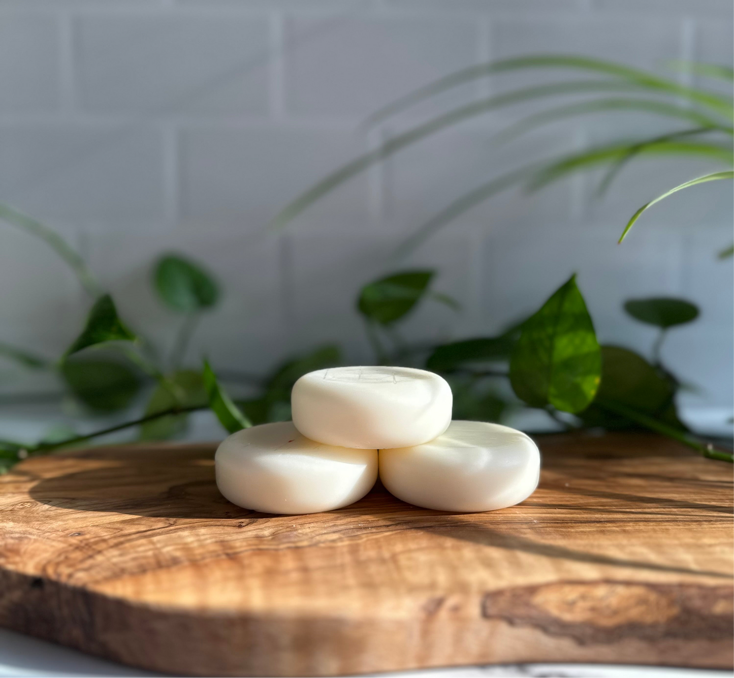 Solid Conditioner Bar