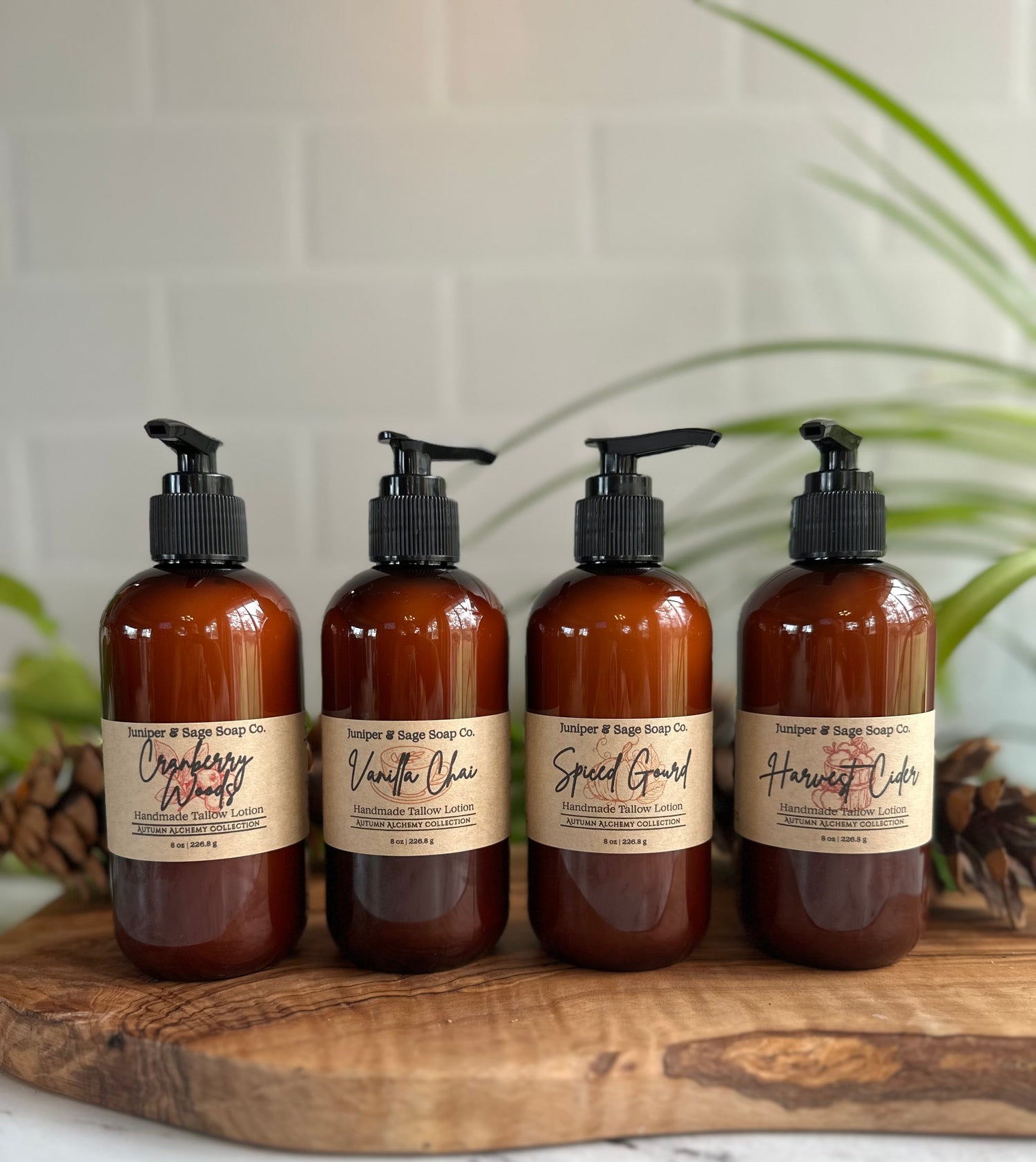 Autumn Alchemy Collection