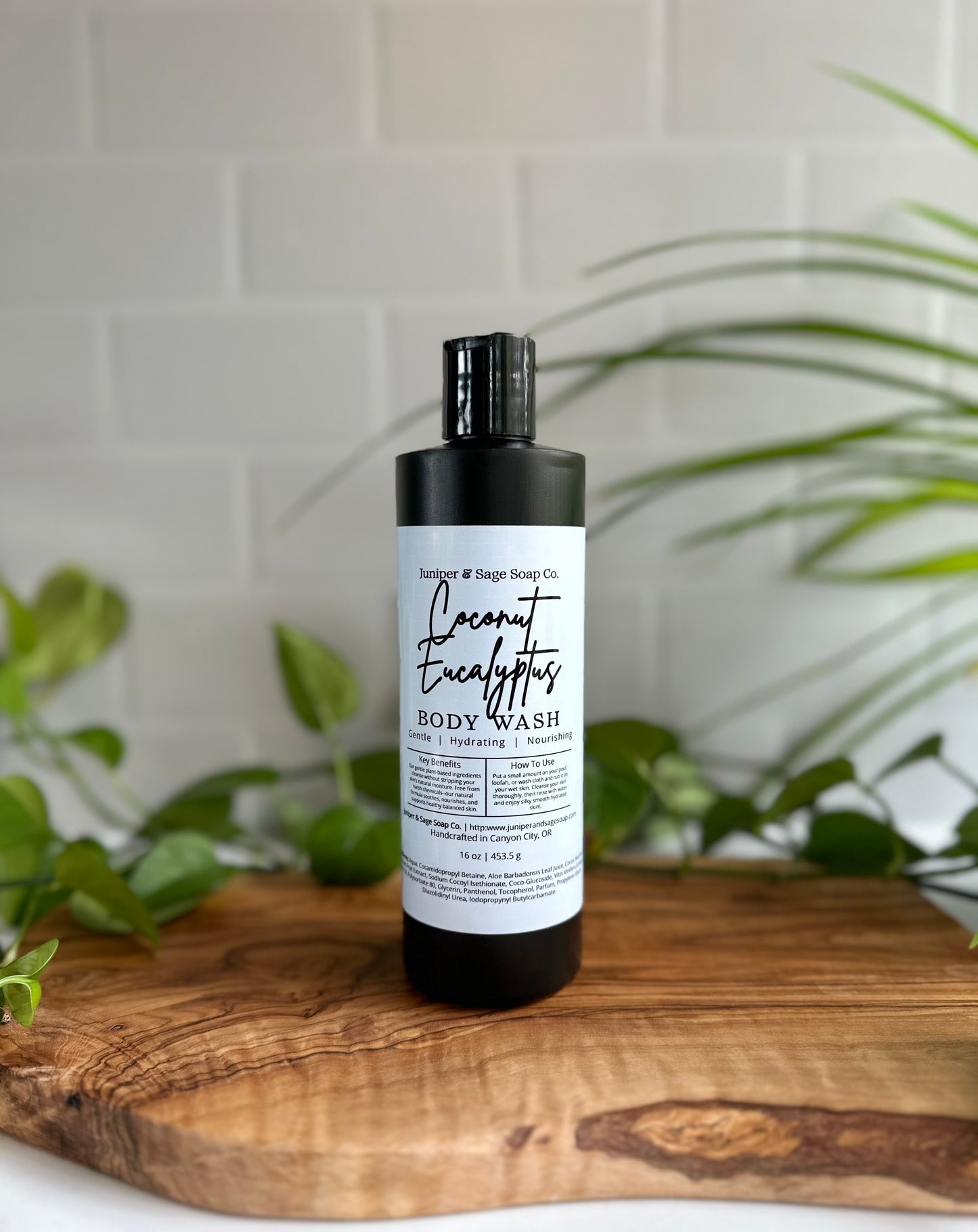 Coconut Eucalyptus - Body Wash