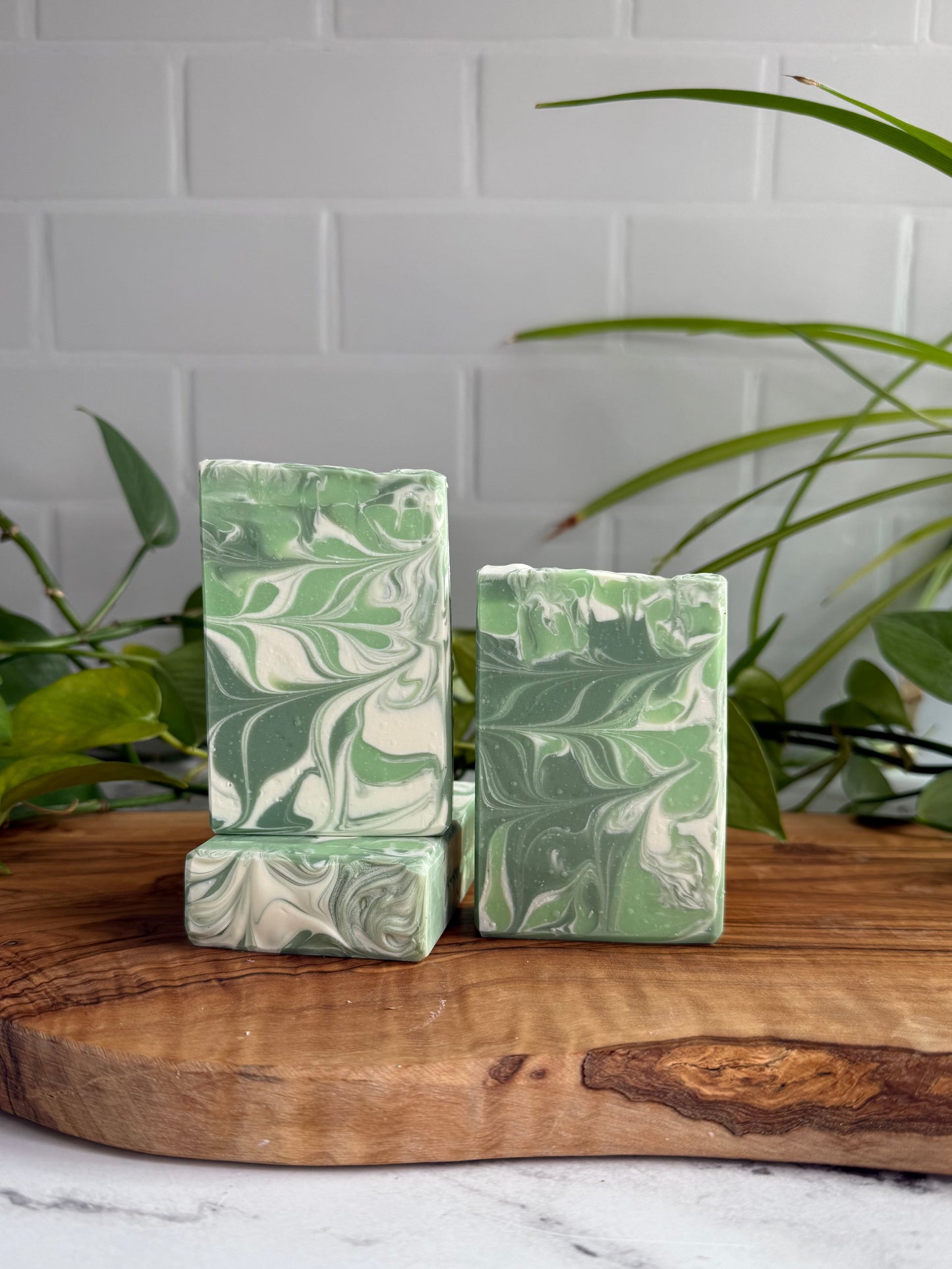 Clover & Aloe - Tallow & Goat Milk Soap