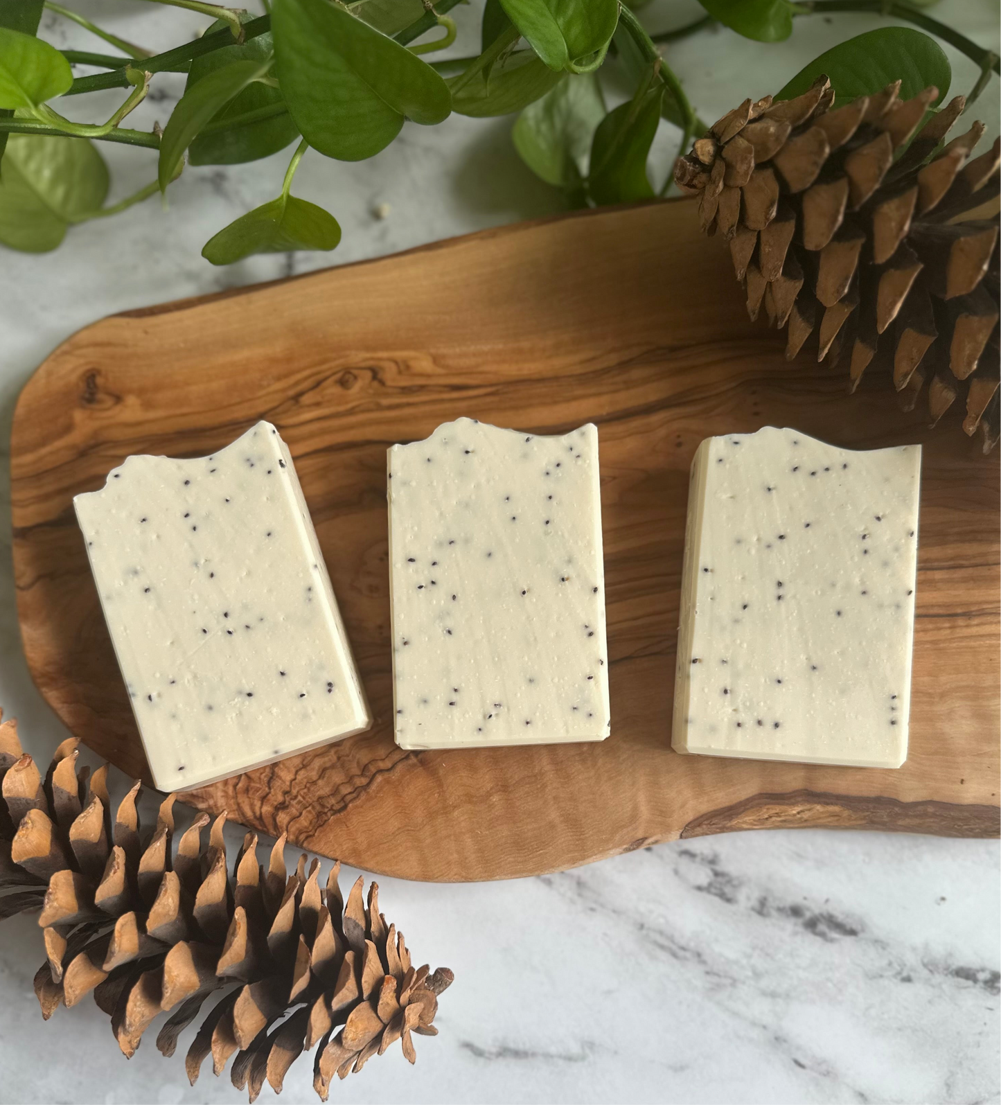 Cranberry Woods - Soap