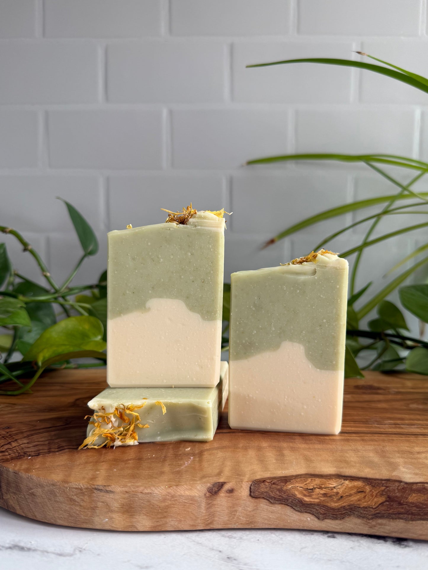 White Tea & Ginger - Tallow & Goat Milk Soap