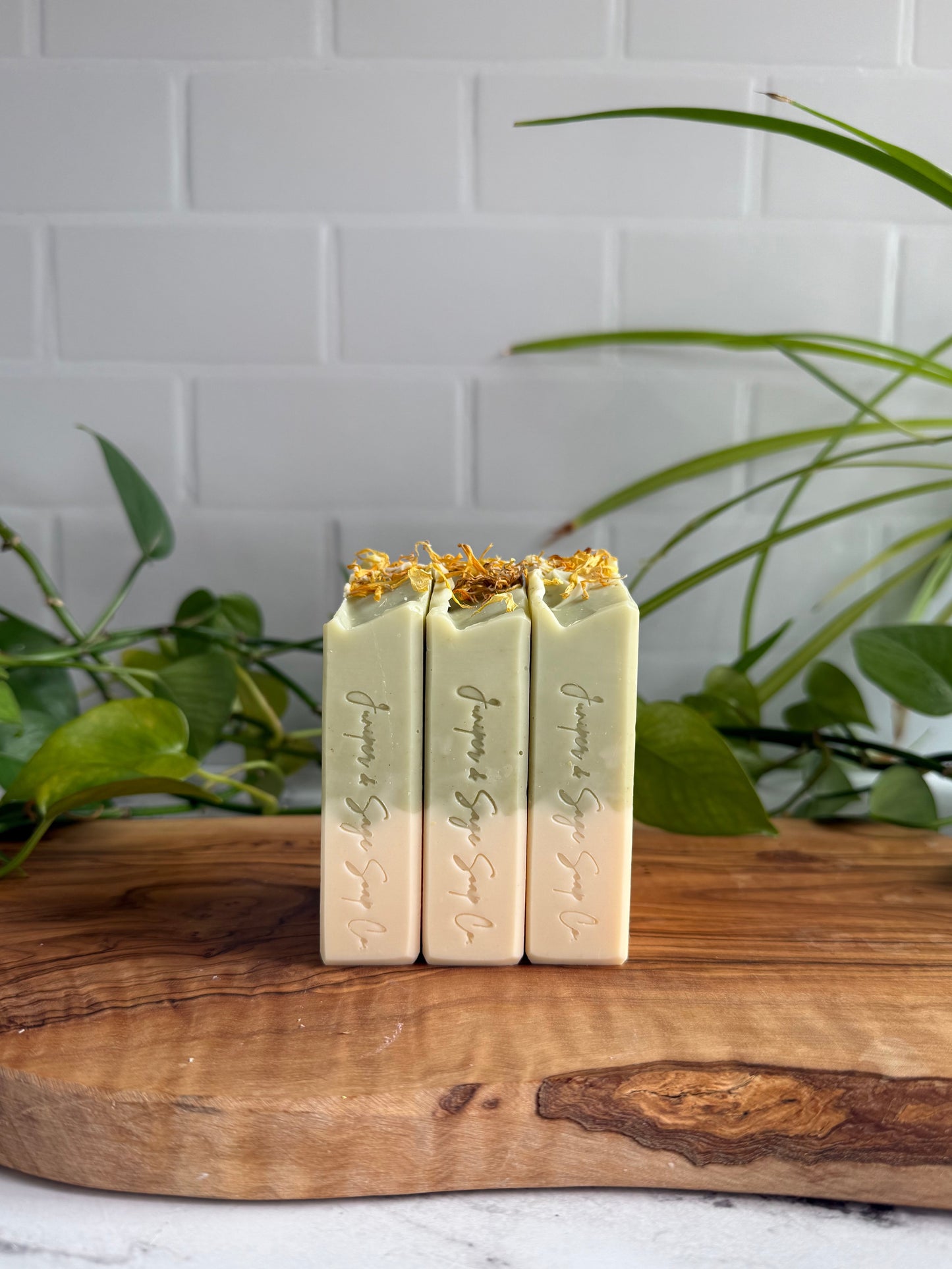 White Tea & Ginger - Tallow & Goat Milk Soap