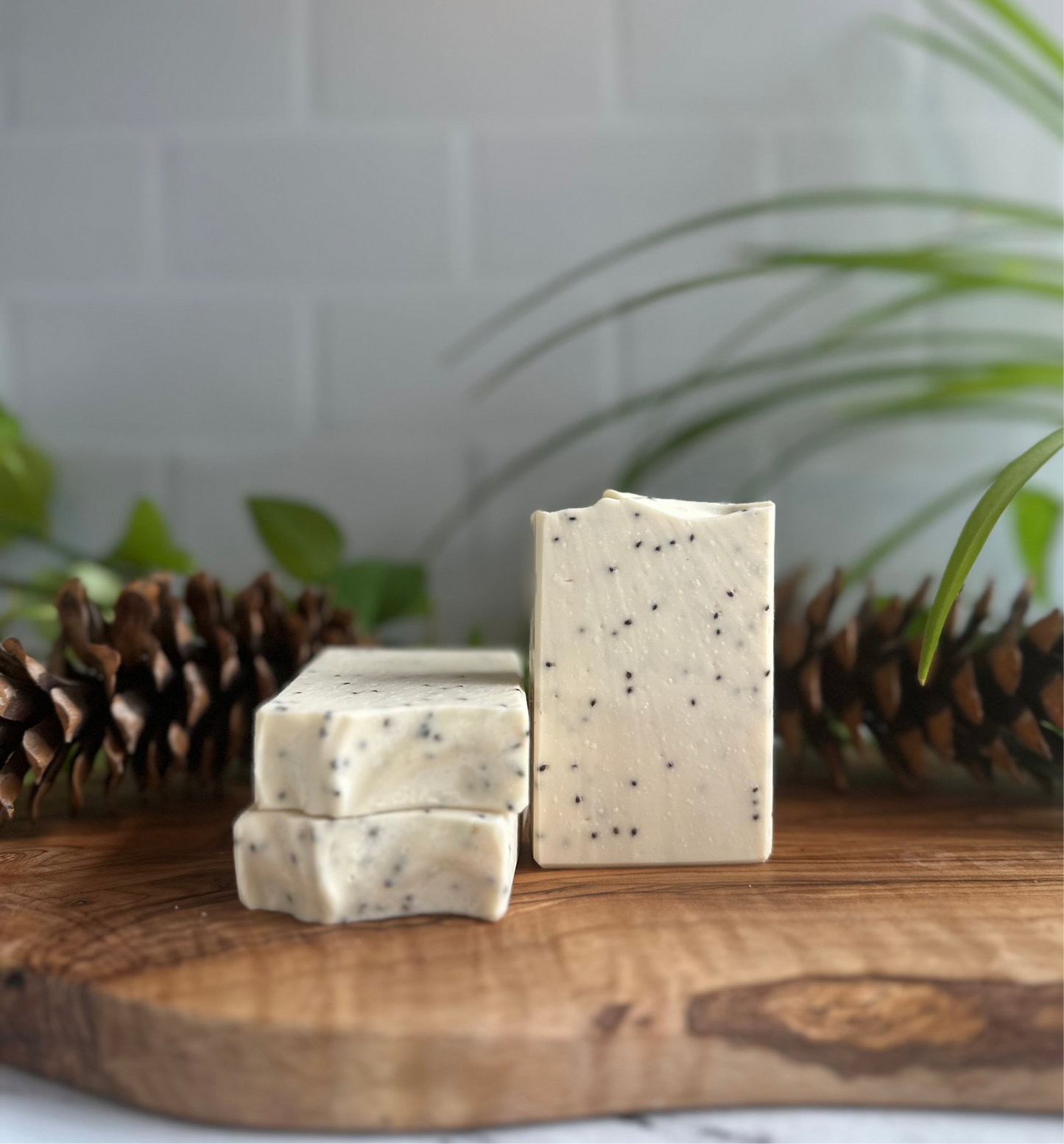 Cranberry Woods - Soap