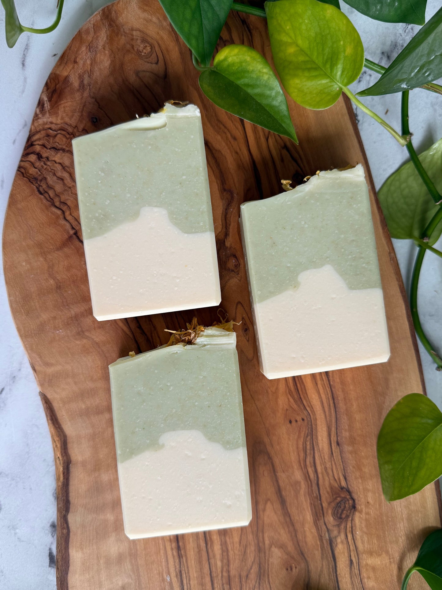 White Tea & Ginger - Tallow & Goat Milk Soap