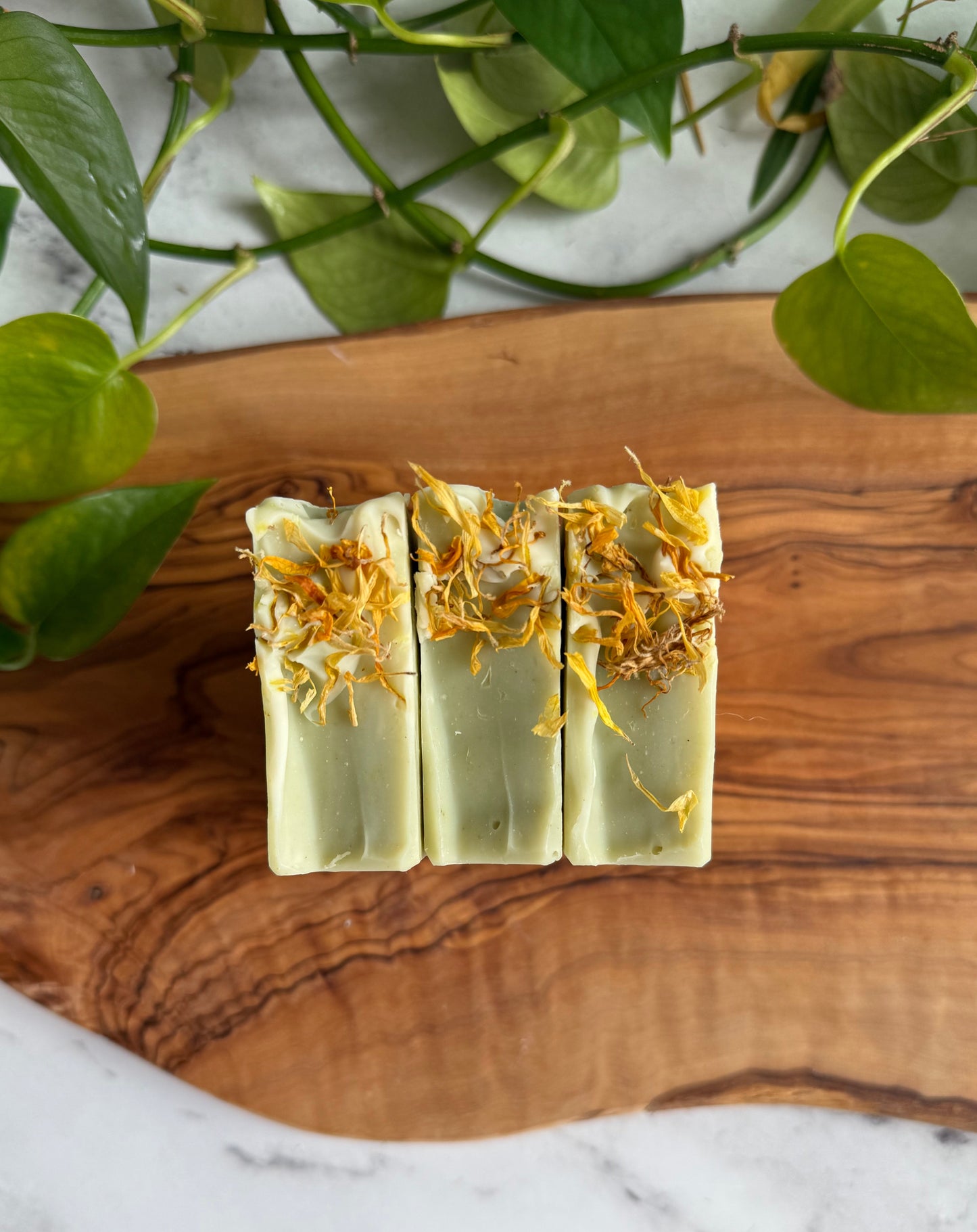 White Tea & Ginger - Tallow & Goat Milk Soap