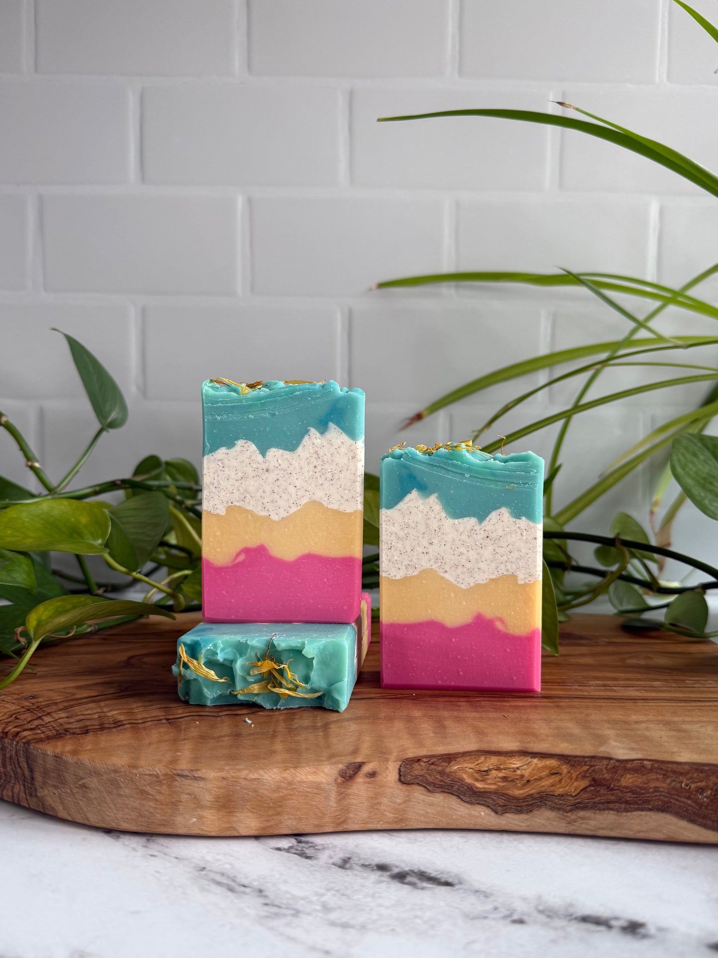 Sweet Nectar & Hibiscus - Tallow & Goat Milk Soap
