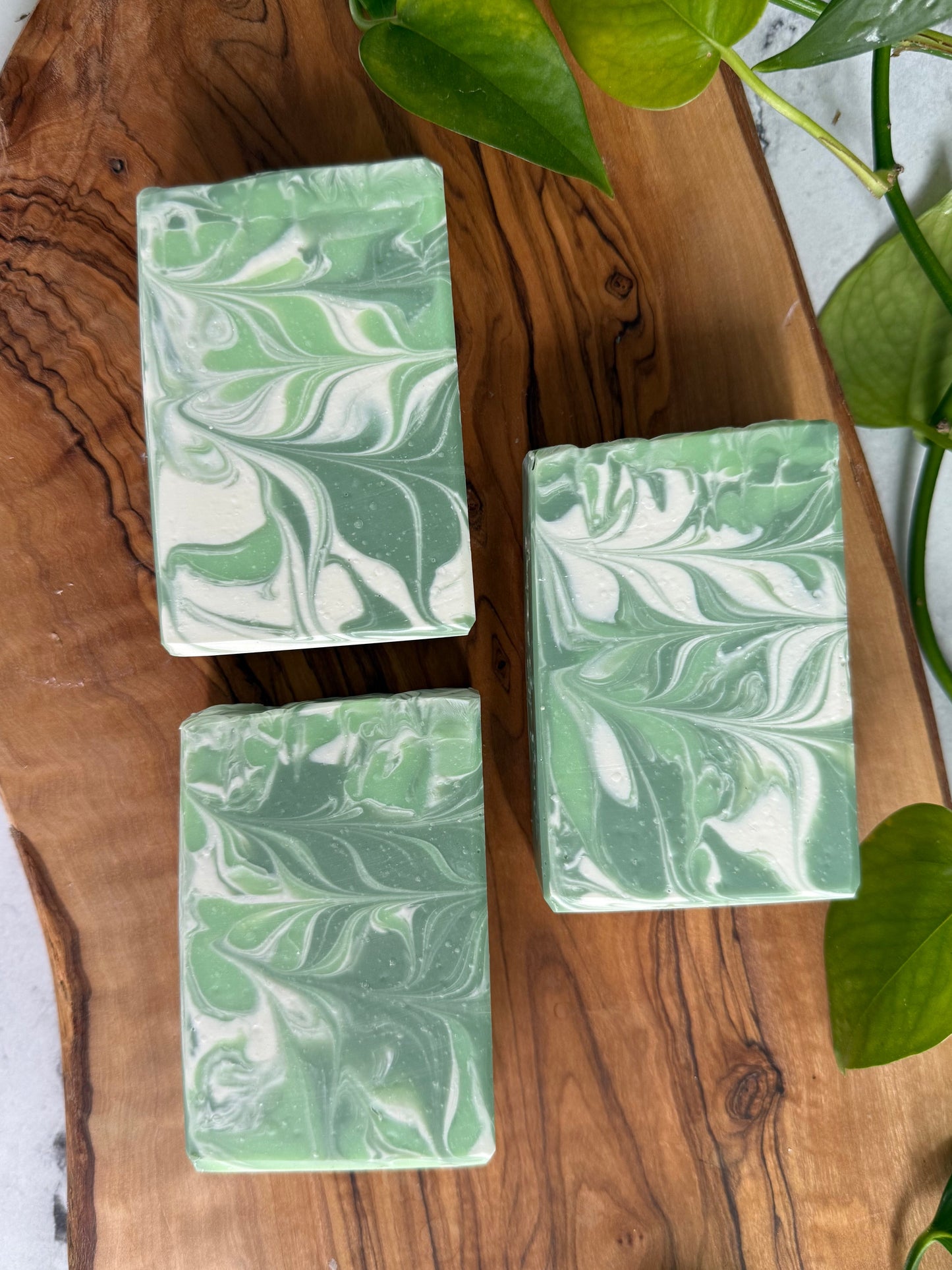 Clover & Aloe - Tallow & Goat Milk Soap
