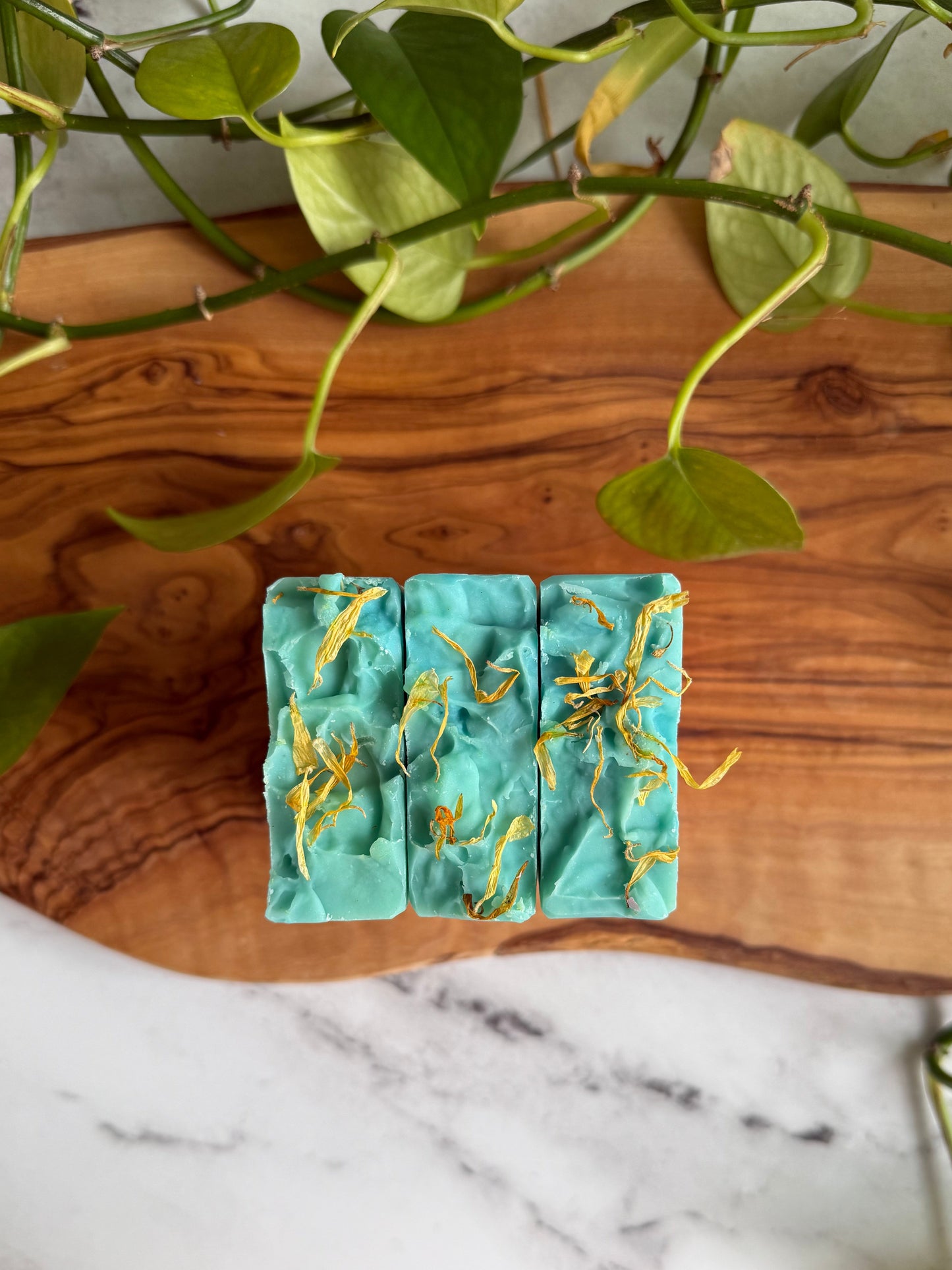 Sweet Nectar & Hibiscus - Tallow & Goat Milk Soap